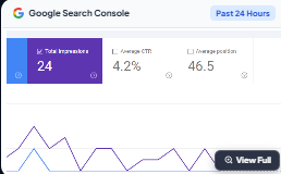 Local Business Website Performance